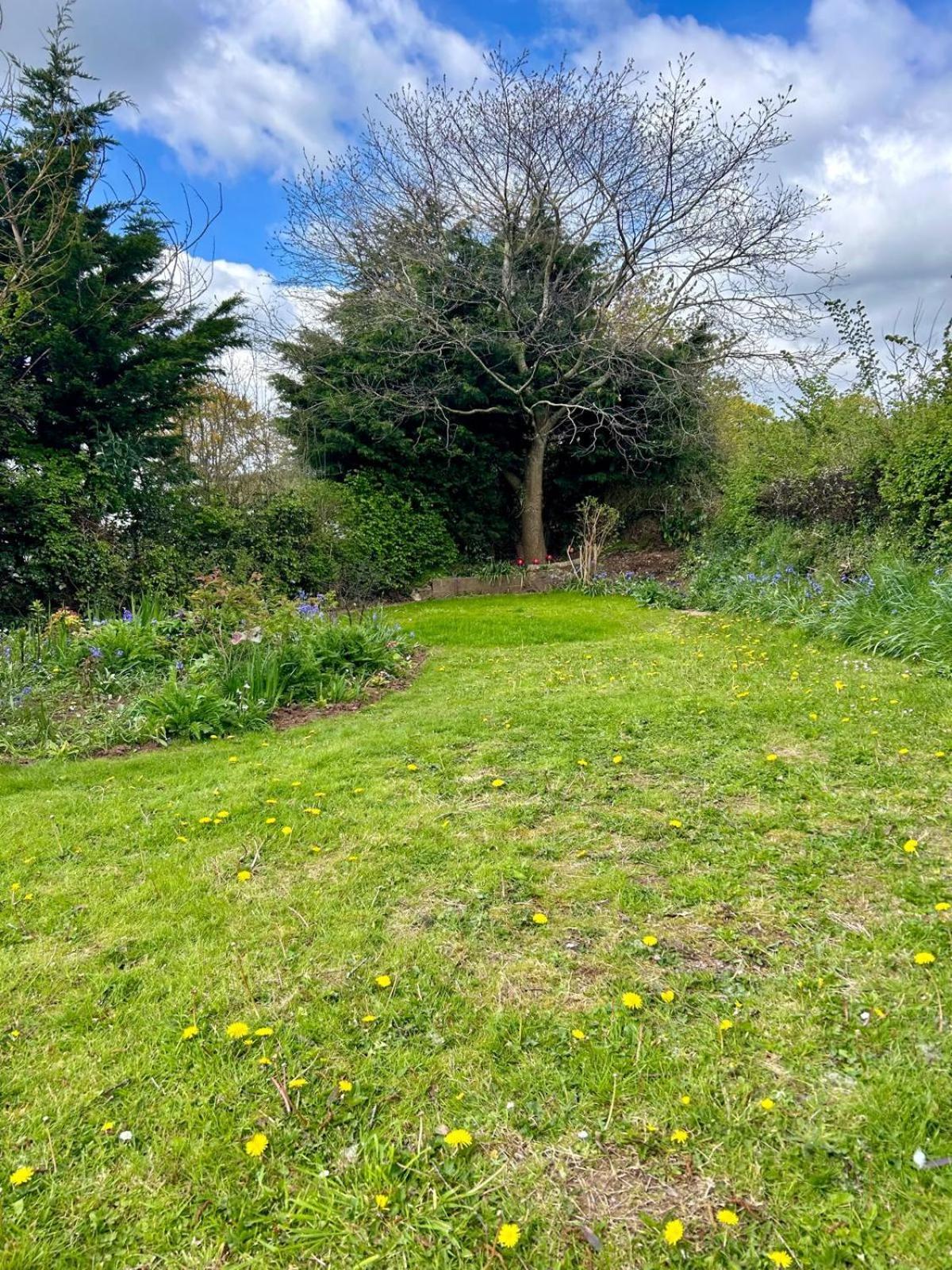 Sundial Cottage Newton Abbot Kültér fotó